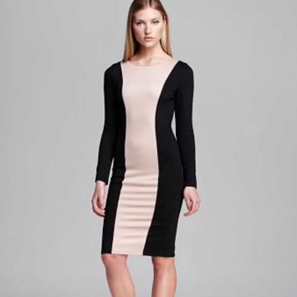 Alice + Olivia Amena Colorblock Dress - Picture 10 of 10